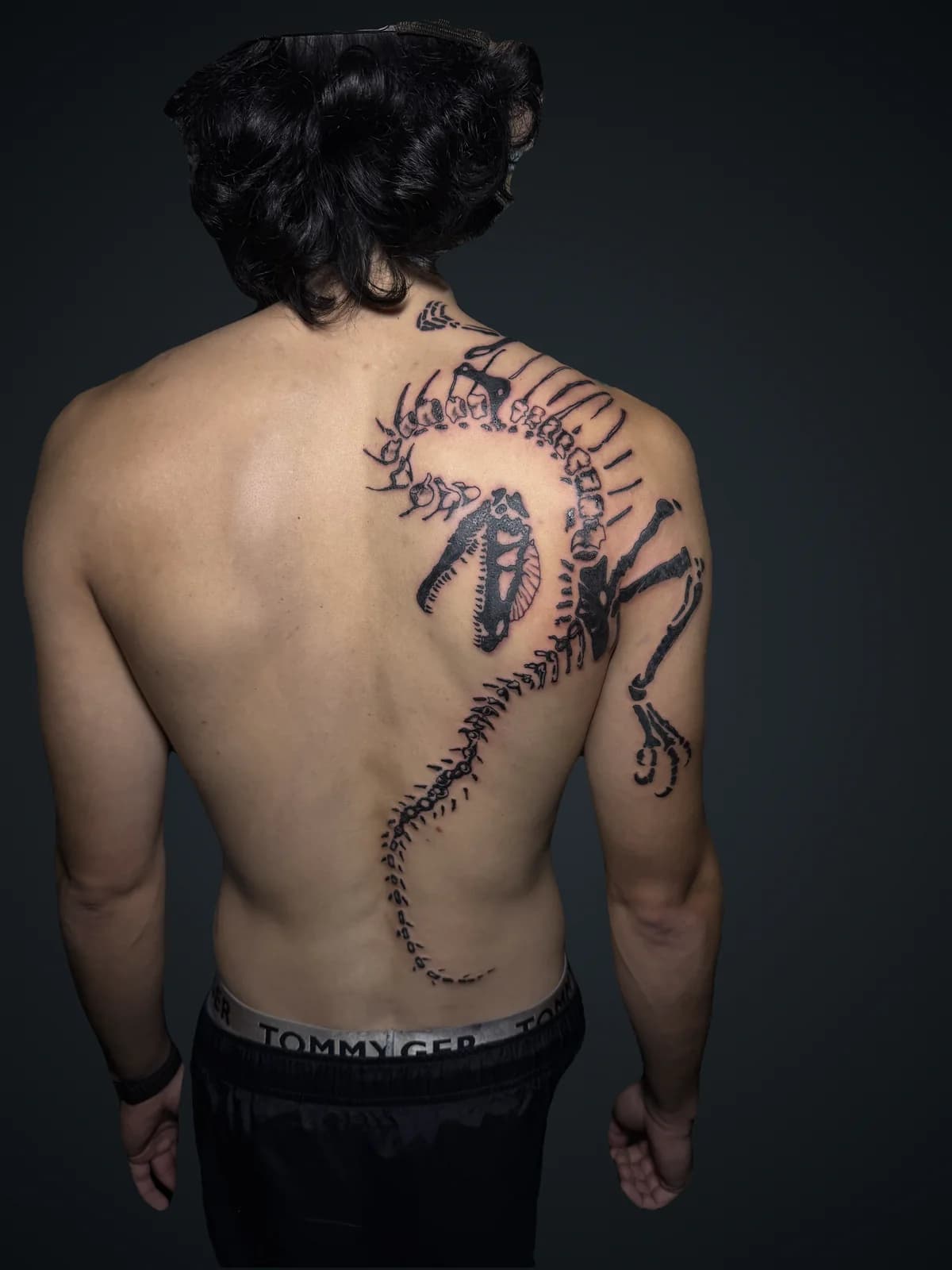 Dinosaur fossil skeleton blackwork tattoo spanning the shoulder and back by Will Martinez