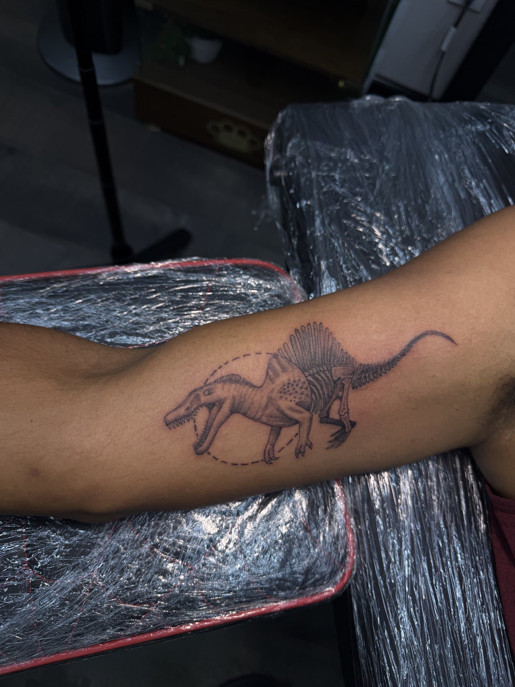Black-ink dinosaur skeleton tattoo on arm by Will