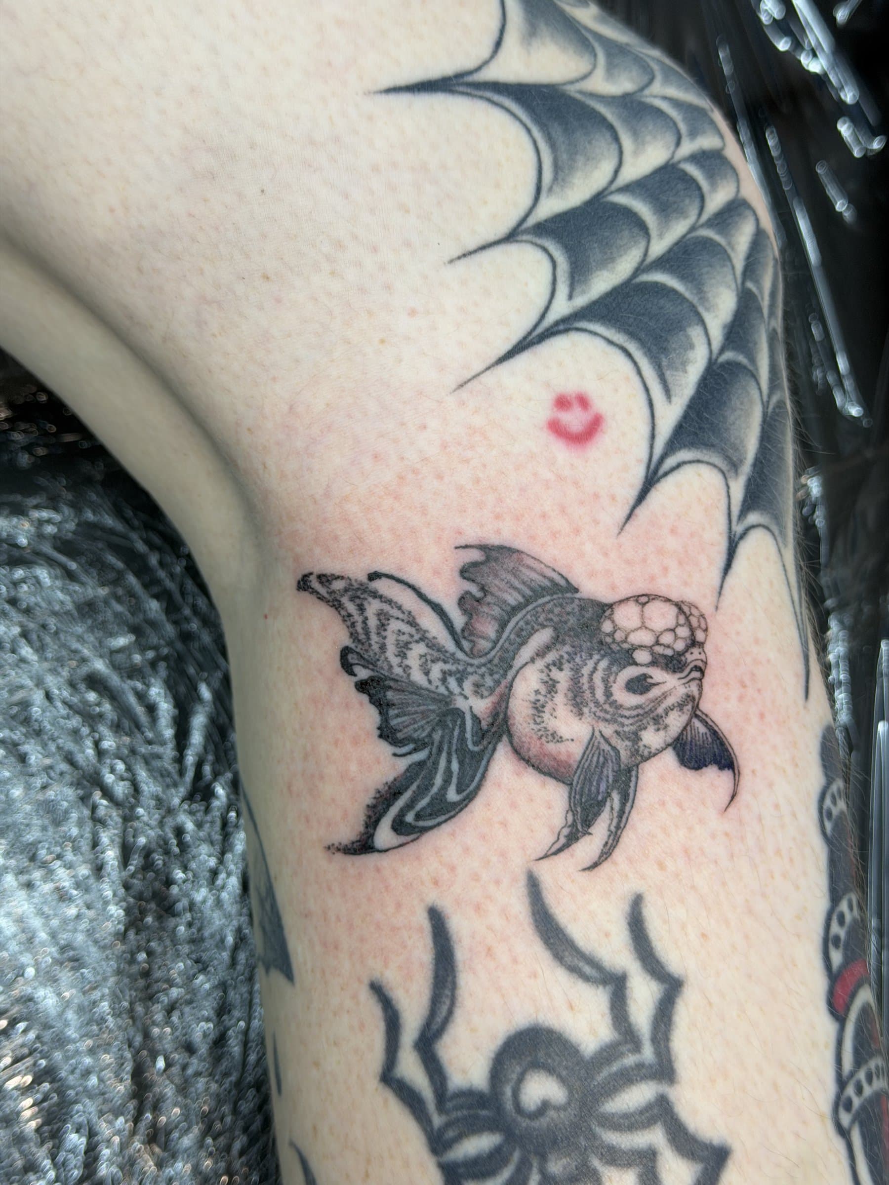 Black-ink koi fish close-up with spider web detail